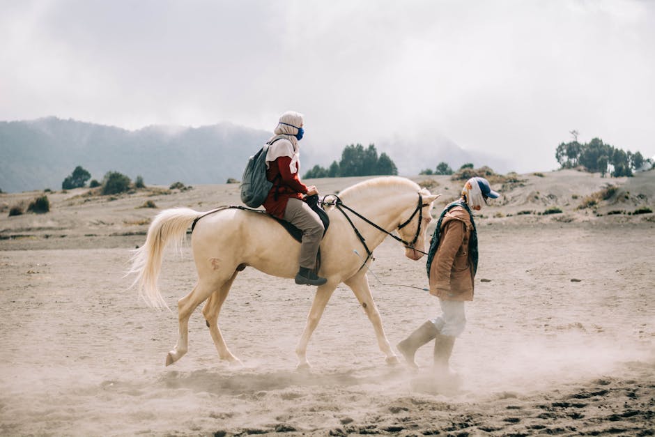 The Ultimate Guide to Designing Custom Safari and Cultural Experiences